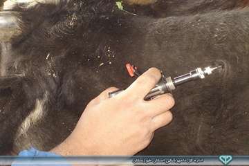 تست توبرکولیناسیون