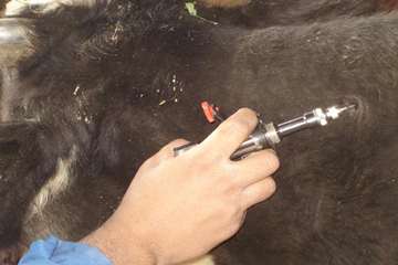 آموزش تست سل در استان خوزستان شهرستان اهواز