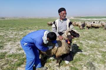 مانور 20بهمن اداره دامپزشکی شوشتر