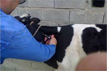 آموزش تست سل در استان خوزستان شهرستان اهواز