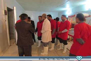 بازدید از کشتارگاه بلدرچین