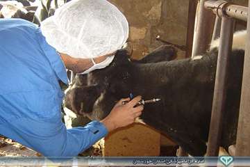 تست توبرکولیناسیون