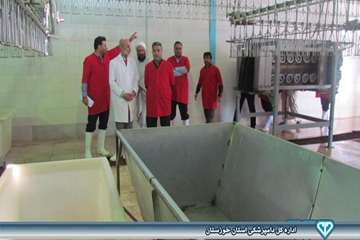 بازدید از کشتارگاه بلدرچین