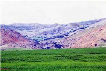 چم شور و دره برکه