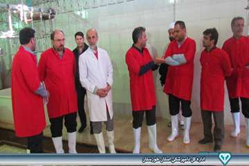 بازدید از کشتارگاه بلدرچین