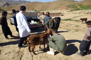 اردوی جهادی اداره دامپزشکی شهرستان گتوند