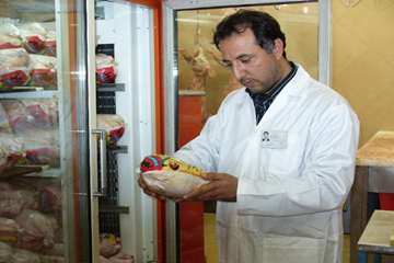 بازرسي بهداشتي 