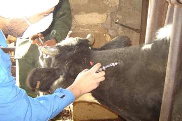 آموزش تست سل در استان خوزستان شهرستان اهواز