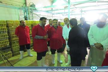 بازدید از کشتارگاه بلدرچین