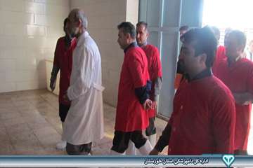 بازدید از کشتارگاه بلدرچین