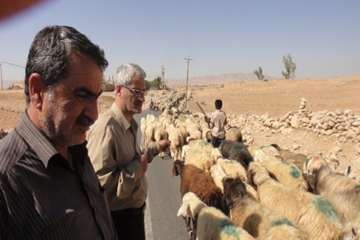 بازدید رئیس اداره بهداشت و مدیریت بیماری های دامی از مناطق عشایری شهرستان اندیکا