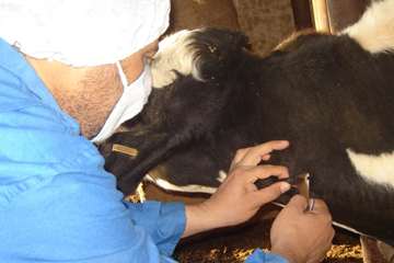 آموزش تست سل در استان خوزستان شهرستان اهواز