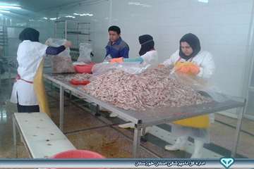 کارگاه عمل آوری آبزیان نفیس کوثر هندیجان اسفند 93