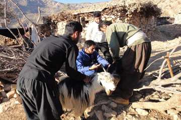 خدمات رسانی به عشایر منطقه صعب العبور کمفه