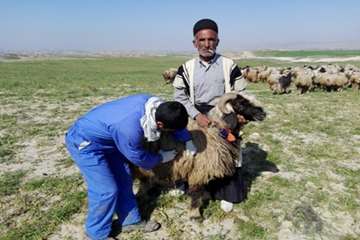 مانور 20بهمن اداره دامپزشکی شوشتر