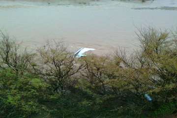 نجات نیروهای دامپزشکی گرفتار در سیلاب اندیکا 