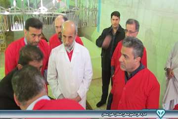 بازدید از کشتارگاه بلدرچین