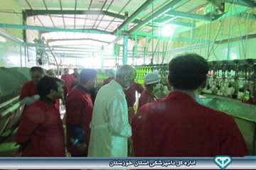 بازدید از کشتارگاه بلدرچین