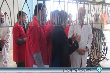 بازدید از کشتارگاه بلدرچین