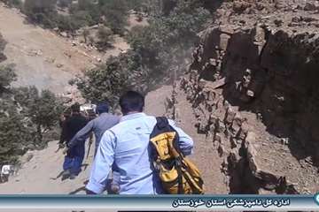 خدمات دامپزشکی در مناطق عشایری اندیکا