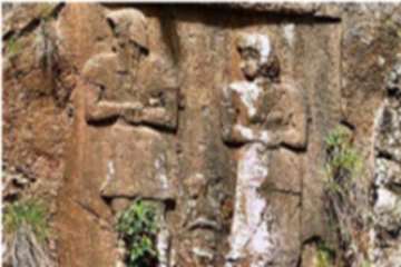 ش‍ک‍ف‍ت‌س‍ل‍م‍‍ان