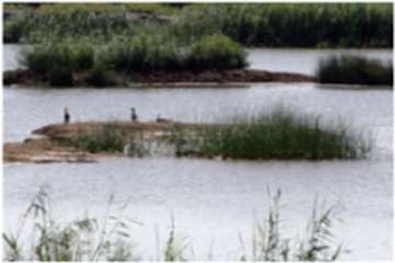 تالاب بام دژ