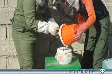 عملیات مبارزه با واروار - دامپزشکی امیدیه