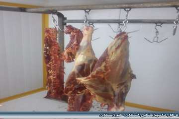 سردخانه بالای صفر کشتارگاه هندیجان  شهریور 94