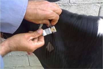 آموزش تست سل در استان خوزستان شهرستان اهواز