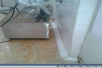 کارگاه عمل آوری آبزیان نفیس کوثر هندیجان اسفند 93