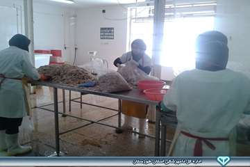 کارگاه عمل آوری آبزیان نفیس کوثر هندیجان اسفند 93