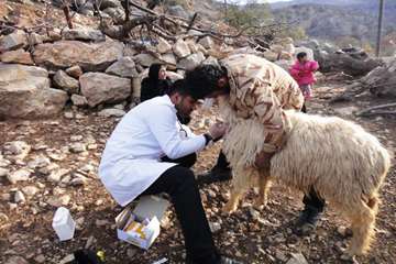 خدمات رسانی به عشایر منطقه صعب العبور کمفه