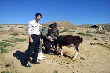اردوی جهادی اداره دامپزشکی شهرستان گتوند