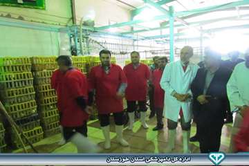 بازدید از کشتارگاه بلدرچین