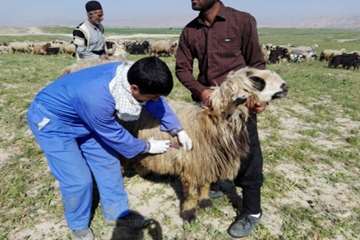 مانور 20بهمن اداره دامپزشکی شوشتر