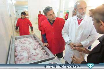 بازدید از کشتارگاه بلدرچین