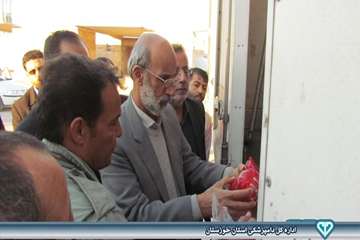 بازدید از نحوه صادرات فرآورده های خام دامی در مرز شلمچه