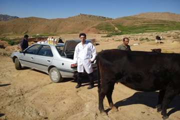 اردوی جهادی اداره دامپزشکی شهرستان گتوند