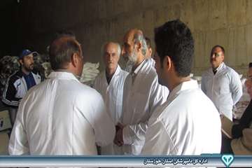 بازدید از کارخانه خوراک دام شهرستان بندر ماهشهر