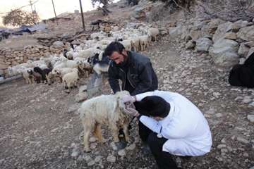 خدمات رسانی به عشایر منطقه صعب العبور کمفه