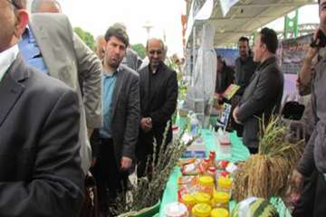 نمایشگاه دامپزشکی