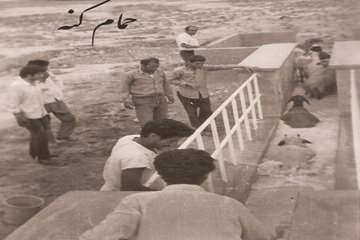 تصاوير قديمي از فعاليت هاي دامپزشكي خوزستان