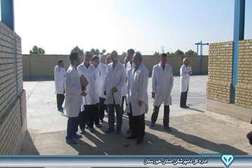 بازدید از کارخانه خوراک دام شهرستان بندر ماهشهر