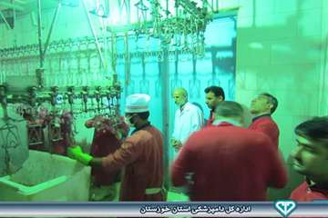 بازدید از کشتارگاه بلدرچین