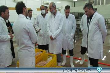 بازدید از مرکز بسته بندی ماهی و میگو خرمشهر