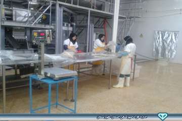 کارگاه عمل آوری آبزیان نفیس کوثر هندیجان اسفند 93