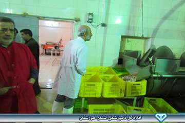 بازدید از کشتارگاه بلدرچین