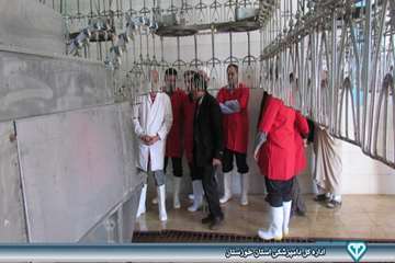 بازدید از کشتارگاه بلدرچین