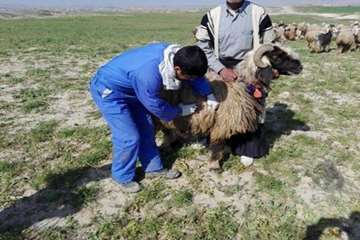 مانور 20بهمن اداره دامپزشکی شوشتر