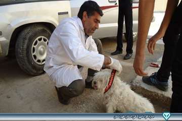 واکسیناسیون هاری - دامپزشکی امیدیه